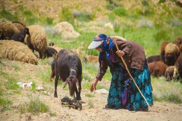 آیین گرامیداشت روز ملی روستا و عشایر در مشهد برگزار شد