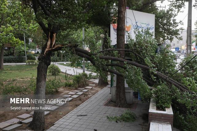 کارشناس هواشناسی:وزش باد شدید استان ایلام را فرا می گیرد