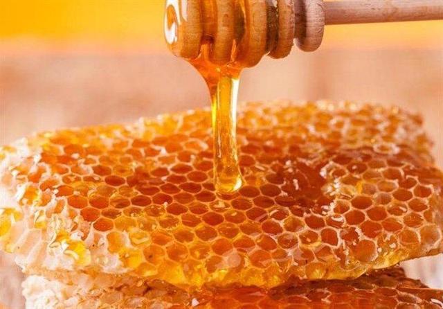 زنبورداری خراسان جنوبی در تنگنای خشکسالی و تهدید عسل‌های تقلبی