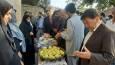 برپایی جشنواره سیب در روستای باغ عباس فریمان