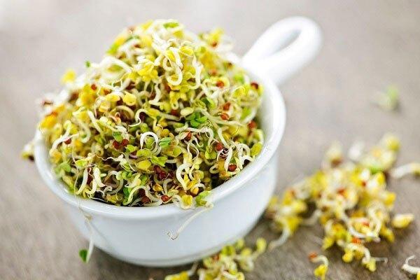 فکرش را هم نمی‌کنید این گیاه ضدکلسترول، ضد دیابت، ضدچاقی و پاک کننده کبد باشد