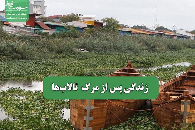 زندگی پس از مرگ تالاب‌ها