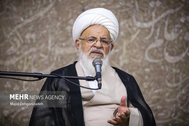 آیت الله ناصری: کودکان را متفکر و اهل اندیشه تربیت کنید