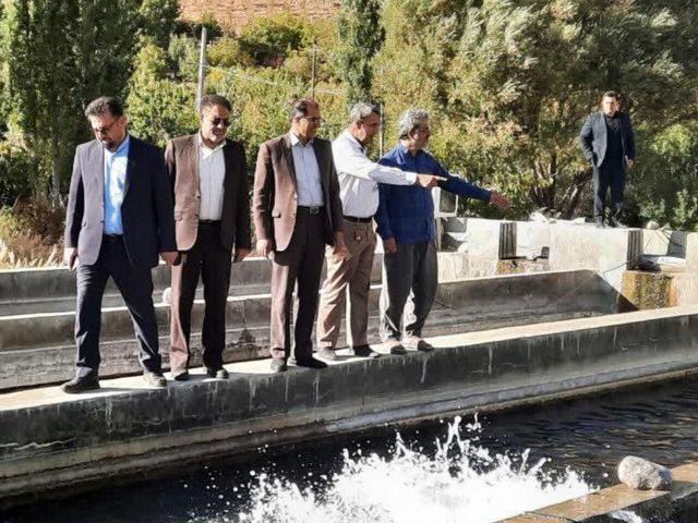 ظرفیت‌سازی برای تولید ۱۰۰ تن ماهی در شهرستان صحنه