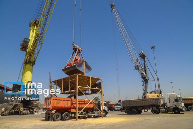 ترخیص ۲۳۰ هزار تن نهاده دامی از بندر امام (ره)
