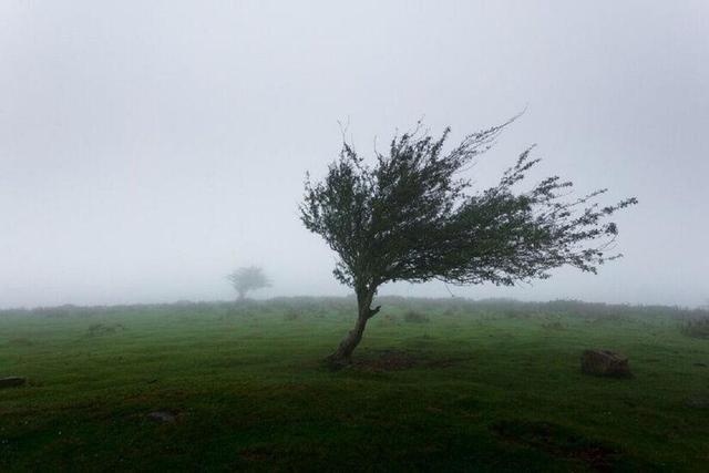 تندباد (گرمیج) اردبیل را درنوردید