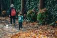 راهکارهای پیشگیری و درمان افسردگی فصلی در پاییز و زمستان