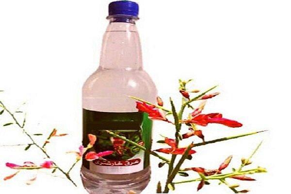 طب سنتی / خواص درمانی عرق خارشتر برای بدن