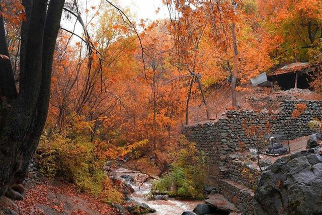 تصاویری جالب و تماشایی از پاییز درکه