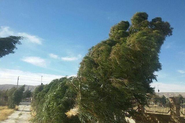 وزش باد شدید در گلستان؛سرعت در علی‌آباد به بیش از۷۵کیلومتر برساعت رسید
