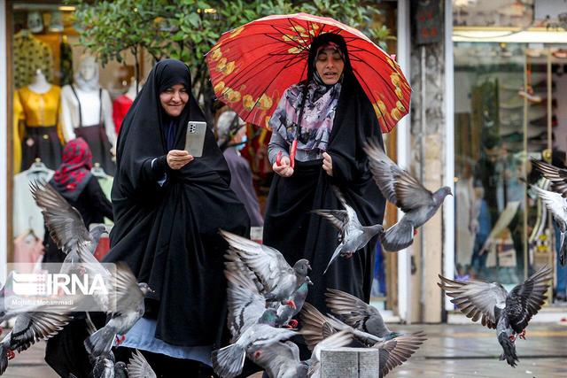وزش باد و کاهش نسبی دما در نوار شمالی کشور