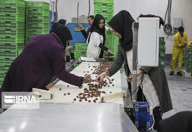 تعاونی‌های محله‌محور در کردستان تشکیل شود