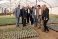 کاهش وابستگی به خرید گل و گیاه در شهرداری مشهد با توسعه تولیدات داخلی