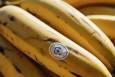 ادغام Nano Banana با NotebookLM و جست‌وجوی گوگل؛ مرزهای جدید خلاقیت با هوش مصنوعی