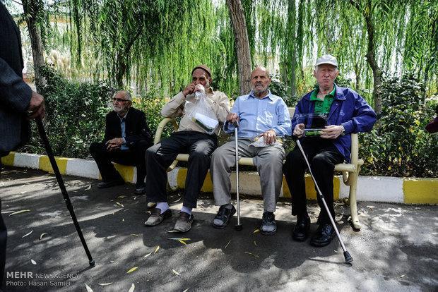 فقط ۲۰ درصد ایرانی‌های بالای ۵۰ سال استخوان سالم دارند| بهترین ورزش برای پیشگیری از پوکی استخوان