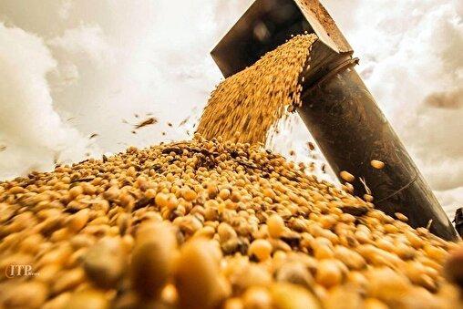 ماجرای «حلقه انحصار ۱۰ نفره» و ارز‌های دولتی/ استیضاح وزیر کشاورزی جدی شد؟
