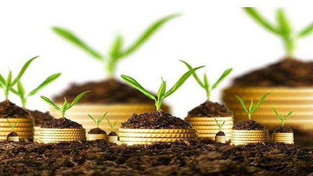 سهم ۴۴۶ هزار تنی آذربایجان‌غربی در تجارت کشاورزی کشور