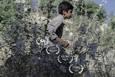 «سوور» در چهار جشنواره جهانی فیلم 