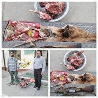 متخلف شکار و صید در دام مأموران یگان حفاظت محیط زیست شهرستان بن