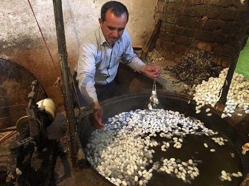 ابریشم‌کِشی در پیله مشکلات