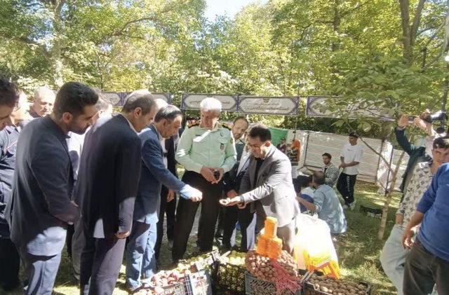 فرماندار خدابنده: ظرفیت‌های شهر سهرورد شایسته توجه ملی است