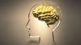 رازهای تقویت مغز با تمرینات ساده روزانه، حقایقی که باید جدی گرفت