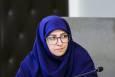 معاون رییس جمهور: ماده ۶ قانون هوای پاک قبل از آغاز فصل سرما آغاز می‌شود/ سوخت ترکیبی در نیروگاه شازند