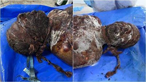 بازگشته از شکنجه‌گاه صهیونیست‌ها؛ افشای سندی تازه از وحشی‌گری صهیونیست‌ها علیه مردم فلسطین! 