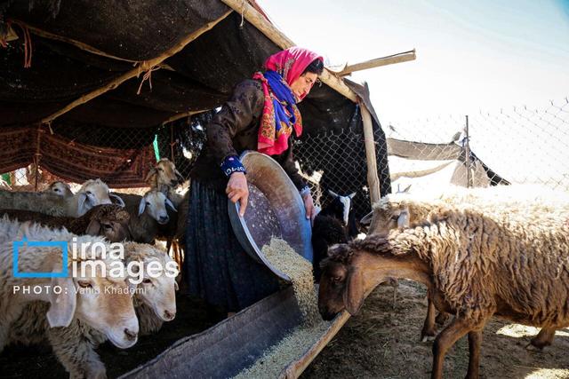 بهره‌مندی عشایر خراسان‌شمالی از اجرای ۷۰۲ میلیارد ریال طرح عمرانی