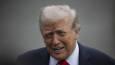 Putin call could lead to peace – Trump