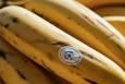 از ویدیوهای آبرنگی تا ویرایش چت‌محور تصاویر؛ گوگل کاربرد Nano Banana را گسترش می‌دهد