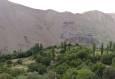 کوه سفید تهران به زیستگاه طبیعی حیات وحش تبدیل شد+فیلم
