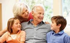 اگر پدر مسن و مهربانی دارید این فیلم برای شماست (فیلم)