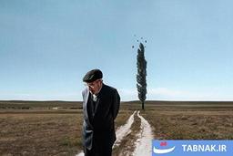 عکس: چشم‌ها و لحظه‌ها؛ سکوتی که سخن می‌گوید