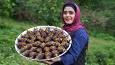 تهیه ترشی بادمجان شکم‌پر با سبزی‌های معطر در روستای شمالی ایران (فیلم)
