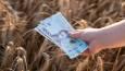 IMF pushes Kiev to weaken currency – Bloomberg