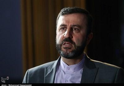 غریب‌آبادی: همکاری با آژانس در چارچوب توافق قاهره‌ متوقف شد