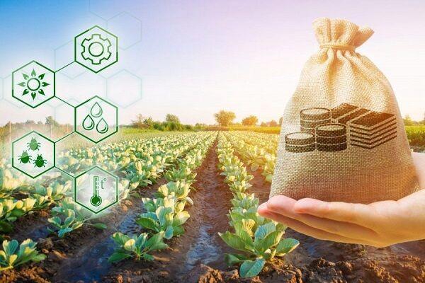 سرمایه‌ای به وسعت خاک روستاهای کرمان؛ ظرفیت‌هایی که باید دیده شوند