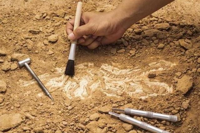 باستان‌شناسان حافظان بی‌ادعای هویت ایرانی‌اند