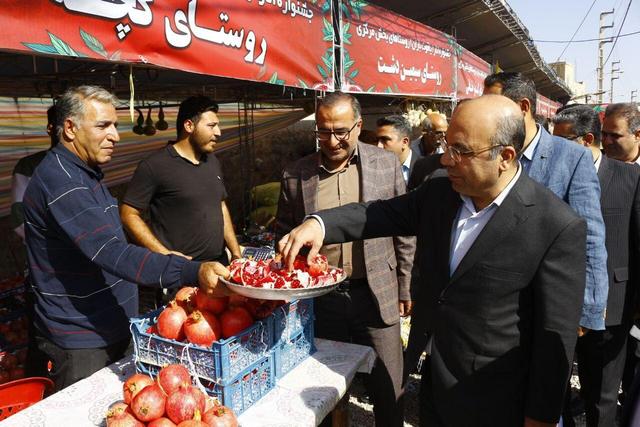 سالانه ۱۰ هزار تُن انار در شهرستان فیروزکوه تولید می‌شود