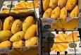 ایستگاه بازرسی شهید امامی شهرضا، آخرین مقصد انبه‌های قاچاق