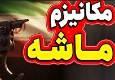 نگاه راهبردی ایران به شرق، لازمه توسعه در عصر پساماشه