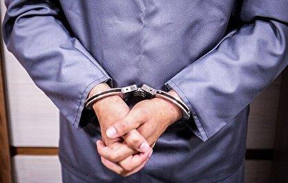 بازیگر مشهور سینما بازداشت شد؛ پژمان جمشیدی؟