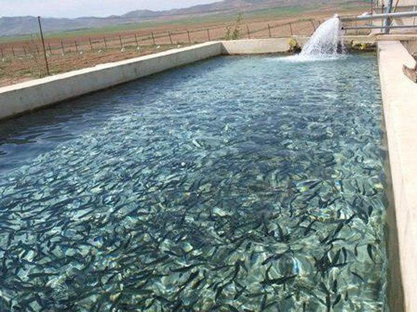 خودکفایی کامل ایران در تولید واکسن و تجهیزات آبزی‌پروری