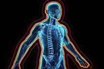 اثرات سرب بر سلامتی