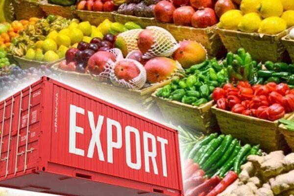 افزایش ۱۴ درصدی صادرات محصولات کشاورزی آذربایجان شرقی