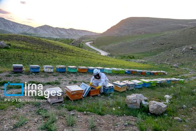 پرداخت تسهیلات به ۵۷ درصد طرح‌های اشتغال خراسان‌شمالی