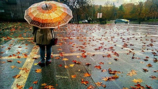 آغاز بارش‌های پاییزی در شمال و شمال‌غرب کشور