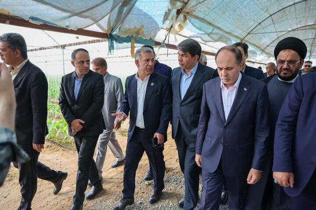 وزیر جهاد کشاورزی از مجموعه گلخانه‌ای برخوری در جیرفت بازید کرد