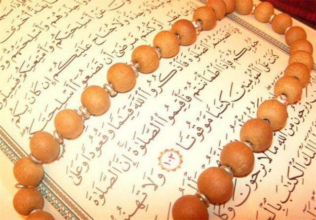 فیلم | درخشش مؤذن مازندرانی در مسابقات سراسری قرآن کریم